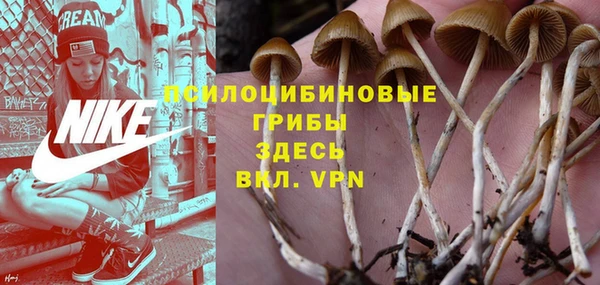 прущий лед Богородск