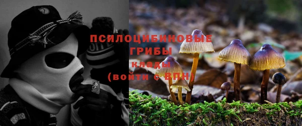 прущий лед Богородск